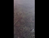 Owner opens ice for dog to drink water in lake