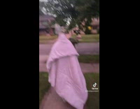 Boyfriend kills wasp nest dad scared