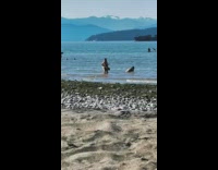 Collab IITW - Woman bikini kneels on beach shore flex butt