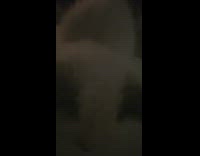 Brown kitten cat climbs up bed girl 