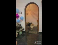 Golden retriever dog black shirt birthday party 