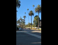 Woman poses middle of road car honked