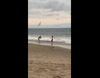 Jump pose black leggings seagulls beach