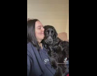 Girl fake coughing dog comes to rescue 
