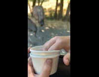 Collab BitchIG2 - Woman feeding Emus on car