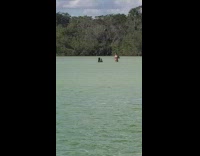 Woman topless covered with hands poses in the beach