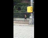 Shirtless black shorts guy dances park alone