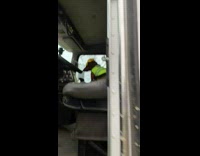 Weiner dog in safety vest in truck 