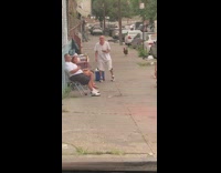Rooster hang out with some people on street