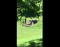 Man sit cut tree trunk photo shoot 