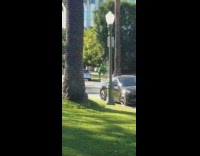 Couple christmas tree costume lamp pole car