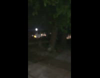 Girl runs and screams 