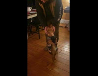 Dog stands and receives scratches from person 