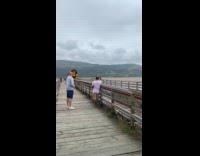 Train passed by the Barmouth wooden bridge