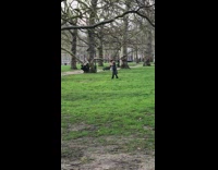 Girl hangs thing tree branch park