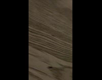 Collab PubityPets - Lizard on ceiling drop poop on floor