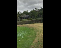 Guy has bad golf swing then throws golf club into lake river pond