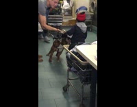 Guy leans down lets kid pet ferret 