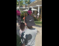 Flamingos escorted on sidewalk by people
