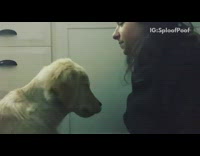 trained dog to kiss for treats