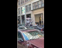 Group with giant rat protest blow horns