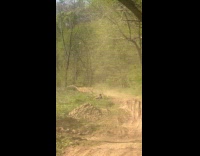 Dirt bike rider jumps then hits woman