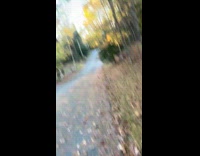 Kid gives uncle feeding deer middle finger 