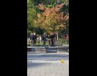 Shirtless guy dances with shakes tree park