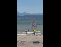 Guy does lunges with a log on shoulders