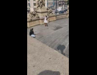 Woman white dress walks down the stairs Name of Submitter and Credit Unmatched