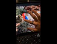 Collab Clips MPUGC - Woman edits out person on photoshop