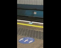 Mouse rat walks by dropped face mask 