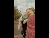 Dog rides with owner on the bike
