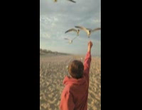Kid throws bread at the flock of bird at the beach