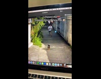 Man chasing dog on google street view