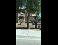 two women savage tik tok dance tree