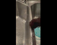 Chocolate cake is as hard as a rock 