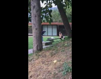 Girl straddles park bench for photo 