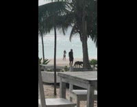 Woman pink bikini walk dance beach table