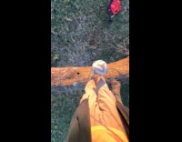 Filmer football tricks on the tree branch