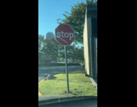 Collab Clips MPUGC - Man shows stop sign in lowercase letters 