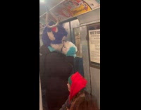 Person wear furry suit ride subway train
