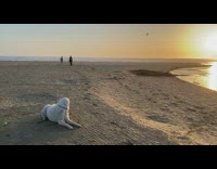 Woman Lifts Leg for Photo 