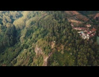 Drone shot of tree forest with farms and houses