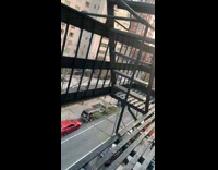 Guy makes bird noise people clap window