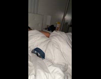 Woman wakes up beside husband and 4 cats