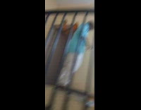 Collab BitchIG2 - Guys ding dong ditch apartment 