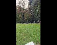 little girl in park catches pigeon in hands and walks away