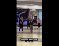 Man in SWAT uniform joins zumba class