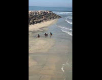 Three guys mermaid tails beach in sync  
